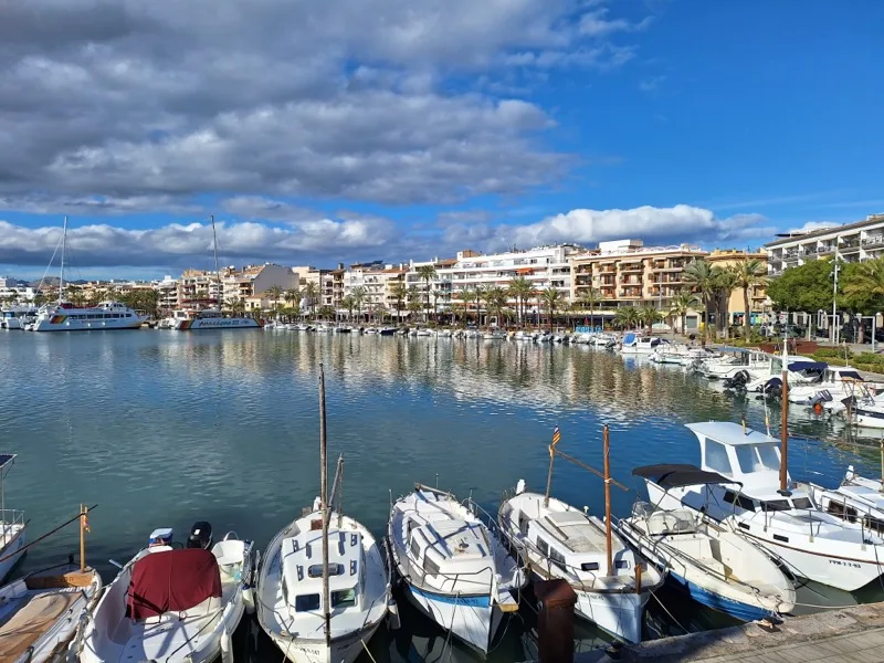 Port d'Alcúdia, Majorque — terminus nord accessible par les ferries depuis Barcelone et Toulon