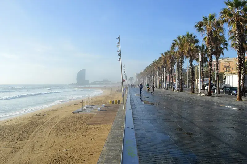 Strandpromenade Playa de la Barceloneta mit Palmen und dem Mittelmeer