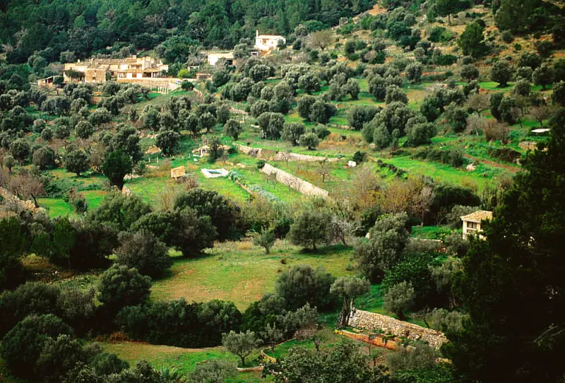 Wohnmobil in der Landschaft bei Andratx, Mallorca