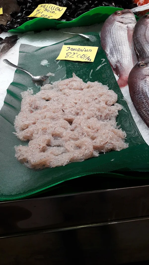 Marktstand am Mercat de l'Olivar Palma de Mallorca mit frischen Meeresfrüchten